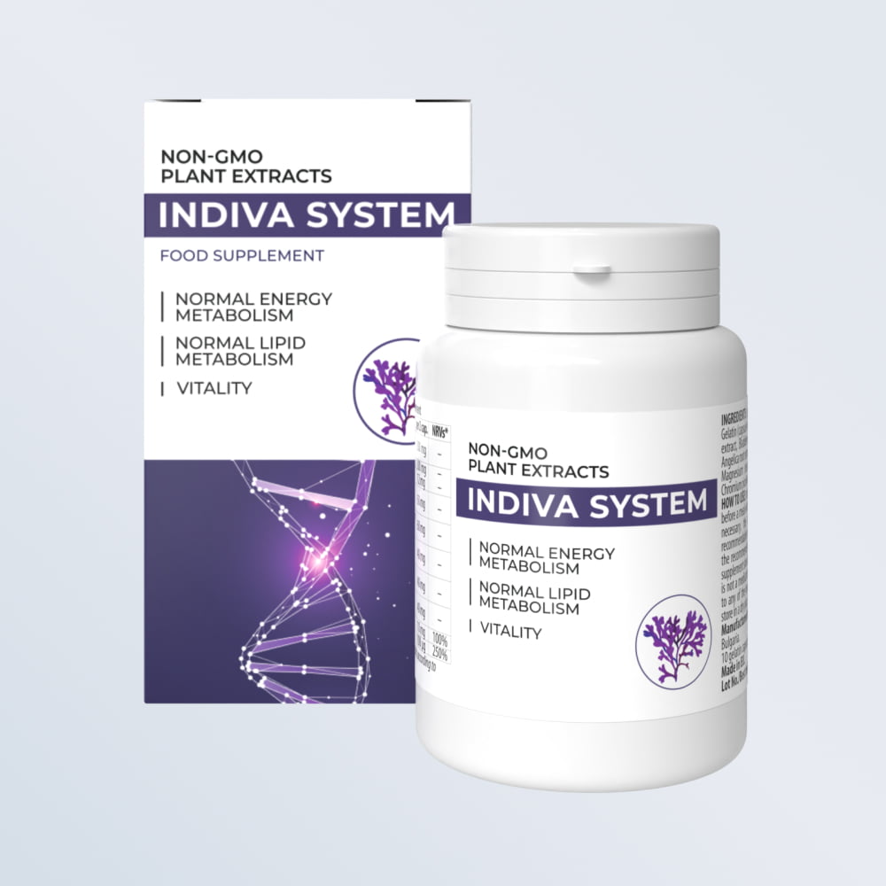 Indiva System Guatemala